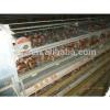 Steel Structure Chicken House Broiler Layer Poultry Farm #1 small image