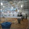 China steel structure building prefab poultry house chicken farm house #1 small image