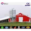 Steel Chicken Poultry House Design &amp; Chicken Farm Poultry Equipments For Sale #1 small image