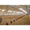 poultry farm building automated poultry farm building #1 small image