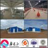 Construction structural chicken farm building for steel chicken poultry house