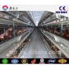 chicken egg poultry farm,Steel structure poultry farm,chicken house with feeding equipments #1 small image