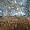 Golden supplier for low cost prefab steel chicken house #1 small image