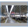 Fast assembly low cost prefab steel structure for warehouse,workshop and cow farming