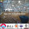 Steel structure farm poultry house shed construction design chicken house