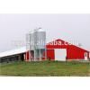 Steel Structure Prefab Chicken Farm Building And Automatic Controlled Poultry Farm Shed