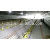 hot dip steel structure Material and Chicken Use modern chicken farm for layer hen egg equipment in poultry farm