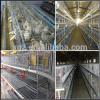 Above 95% egg production Chicken battery cage design for poultry farm