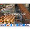 Best Price Automatic Layer Chicken Poultry Shed With Eggs In Africa Algeria