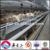 Best price automatic layer egg chicken cage poultry farm house design for Algeria