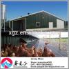 Chicken Poultry House Design &amp;chicken farm project poultry farming equipment for sale #1 small image