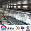 Automatic poultry farming design for layer chicken poultry house