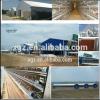 High quality poultry house construction