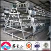 Low cost steel structure poultry shed egg chicken house poultry housing