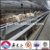Professional Design Chicken Egg Poultry Farm #1 small image