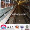 Perfect steel structure layer chicken shed #1 small image