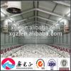 Modern design chicken shed for poultry farms with automatic equipments