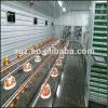 Poultry House Design &amp; Chicken Farm Poultry Equipment For Sale #1 small image