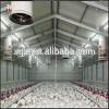 Building Light Steel Fabricated Structure Chicken House #1 small image
