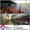Automatic poultry feeding system Professional design chicken egg poultry farm #1 small image