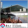 High Quality Prefabricated Commercial Light Steel Structure Chicken Poultry Shed Design