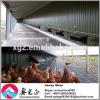 Modern Prefabricated Commercial Steel Structure Poultry Chicken House #1 small image