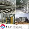 Good quality automatic egg chicken house design for layers