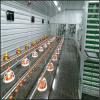 used poultry battery chicken cage for layer for sale #1 small image