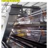 best price design chicken egg poultry farm shed with automatic equipment