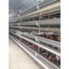 Layer poultry farming house and equipment design