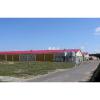 chicken feeder farm building poultry farm shed with automatic system #1 small image