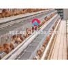 2015 low price automatic layer chicken poultry shed