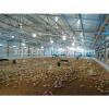 design africa chicken cage poultry farm design in broiler #1 small image