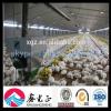 china layer poultry chicken breeding equipment #1 small image