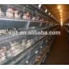 Layer egg chicken cage/poultry farm house design