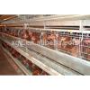 design High quality Automatic chicken layer farm broiler poultry shed design
