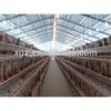 china design chicken layer broiler house