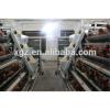 Best selling egg chicken house design for layers
