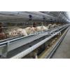 high quality Steel Structure building layer poultry chicken farm house