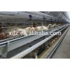 cheap chicken egg poultry farm layer chicken house with automatic equipments #1 small image
