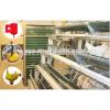 layer and brolier modern best price automatic coop for chickens