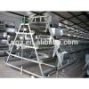 Chicken/ Chick Layer Cage/ Chicken House Hot Sell High Quality #1 small image