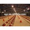 Poultry feeding System automatic chicken house