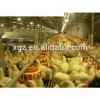 Best selling Chinese poultry house design with poultry house equipment