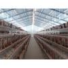automatic equipment chicken shed poultry farm design