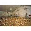 Prefabricated controlled chicken modern farms