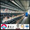 Build Design Controlled Poultry Farm