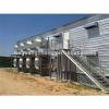 prefab poultry farm layer chicken shed