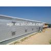 cheap modern design poultry house steel chicken shed with automatic equipment for sale