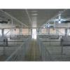 prefab full control automatic piggery sheds #1 small image